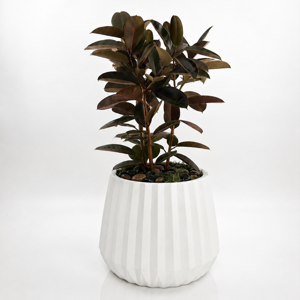 Noir Foliage